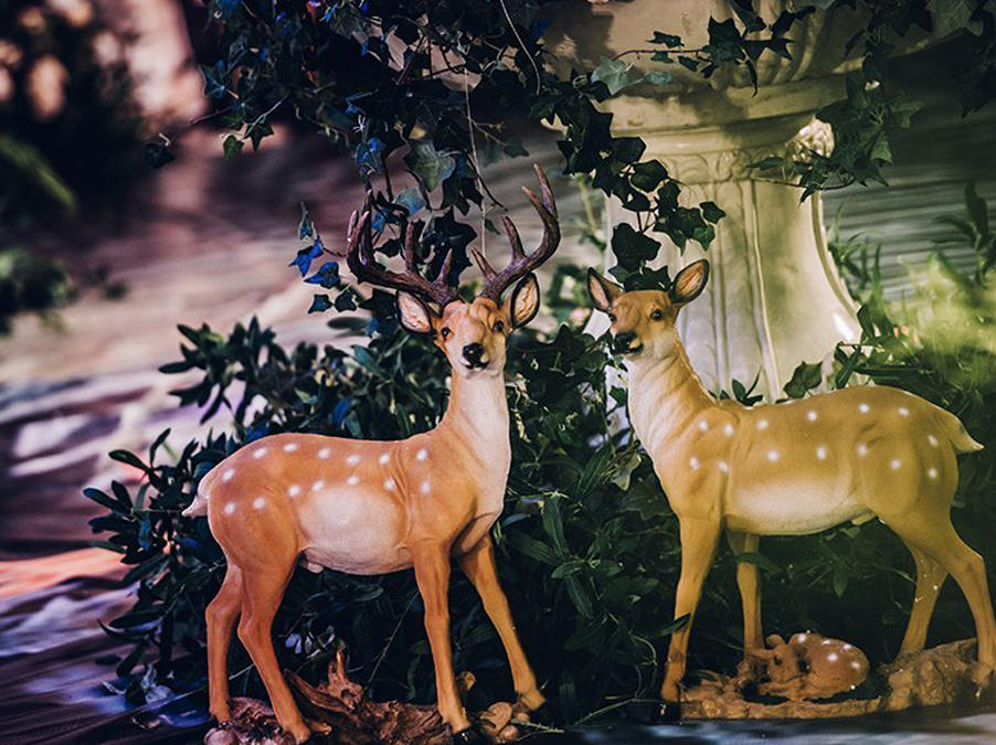 阿汤婚尚私人套餐定制——《寻觅，爱丽丝》