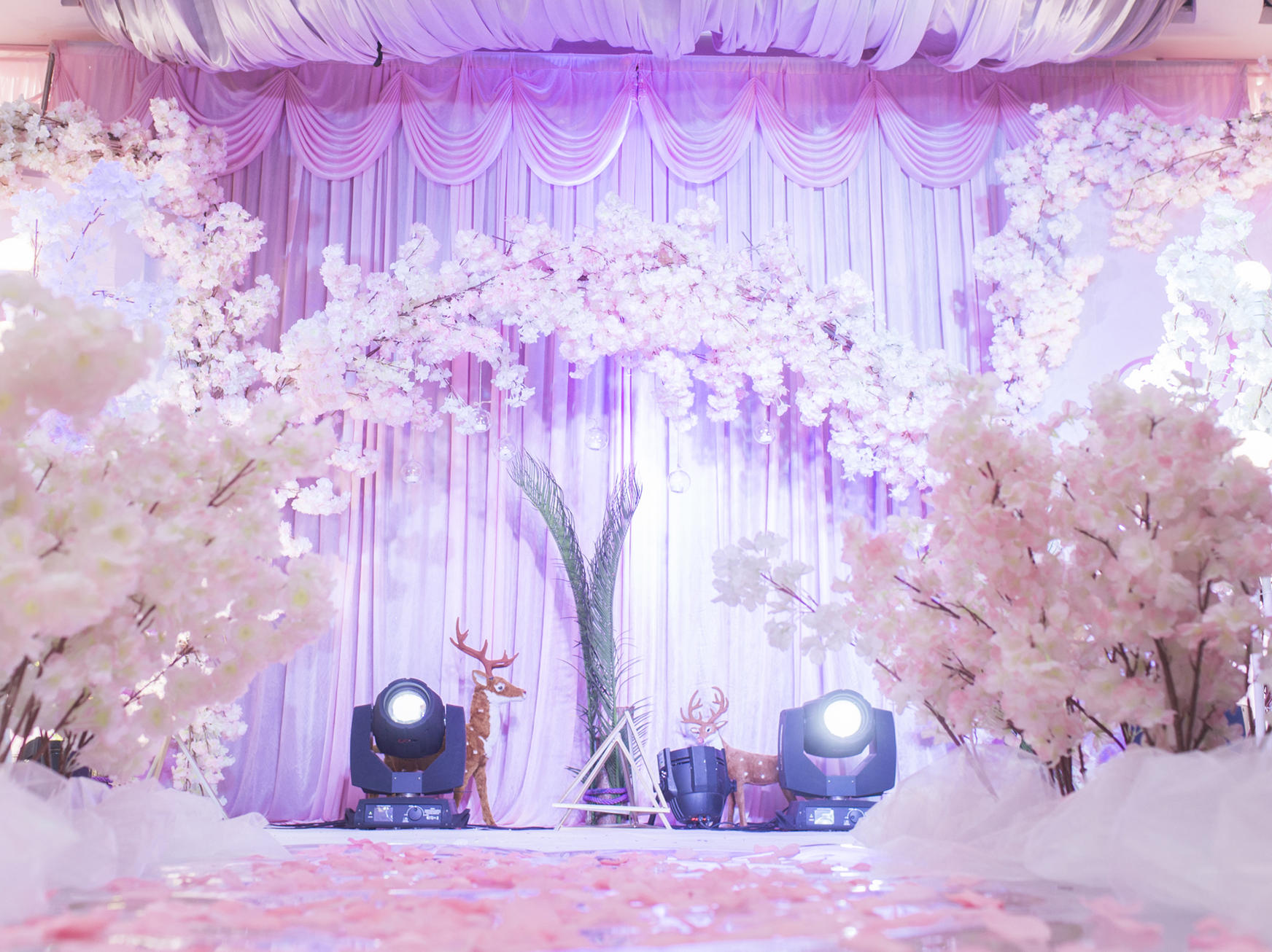 粉紫色烂漫樱花婚礼少女心