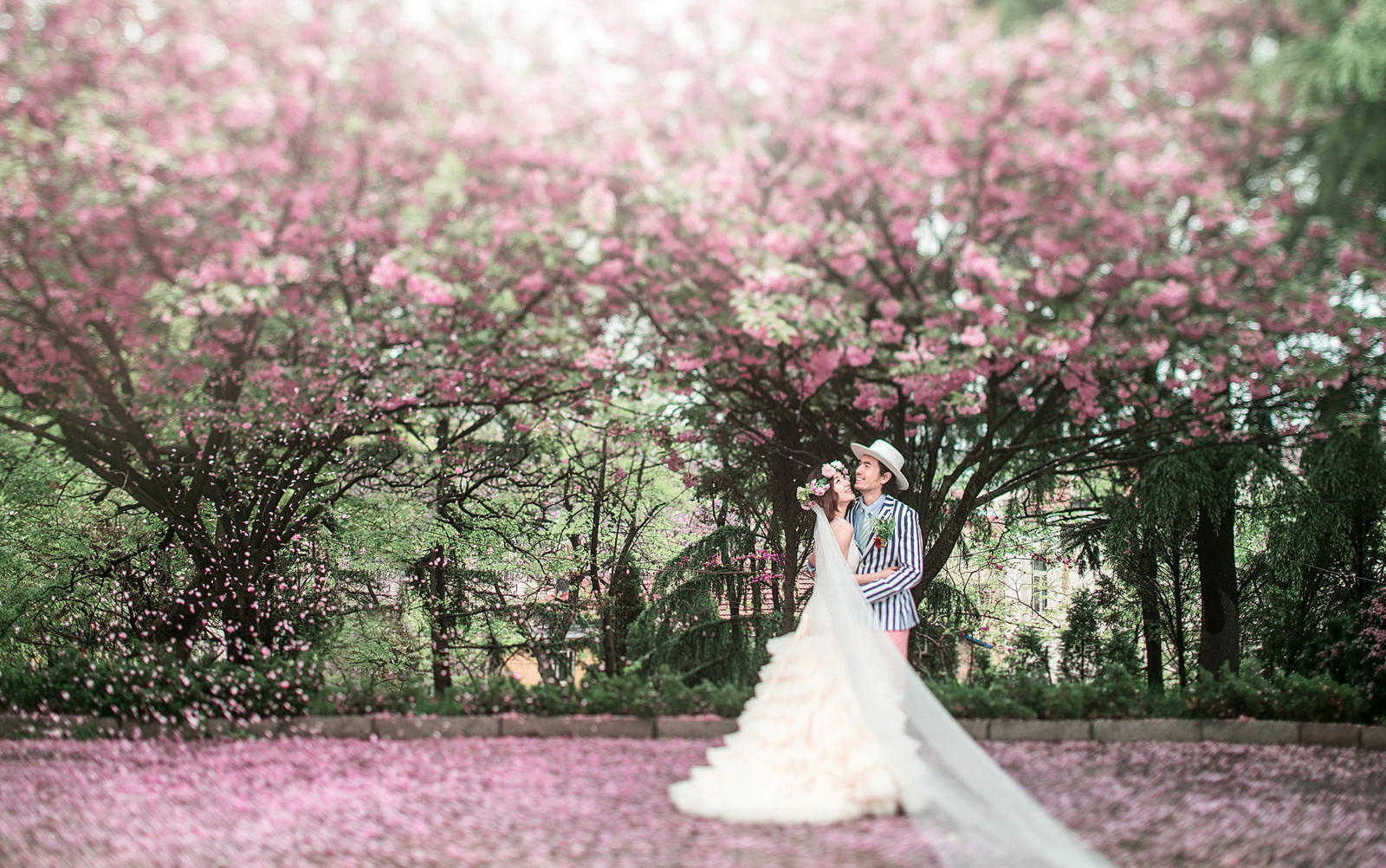 /大理/三亚/丽江/厦门/普吉岛/巴厘岛/任选/