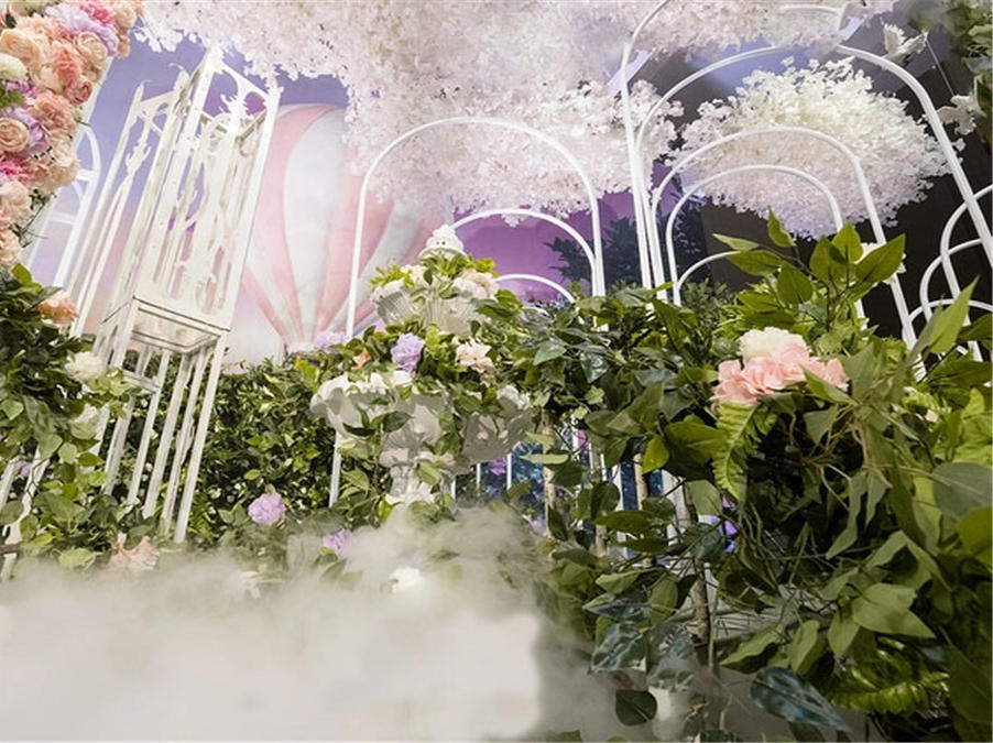 森林花园 含主持人 化妆师 摄影 摄像 摄影 