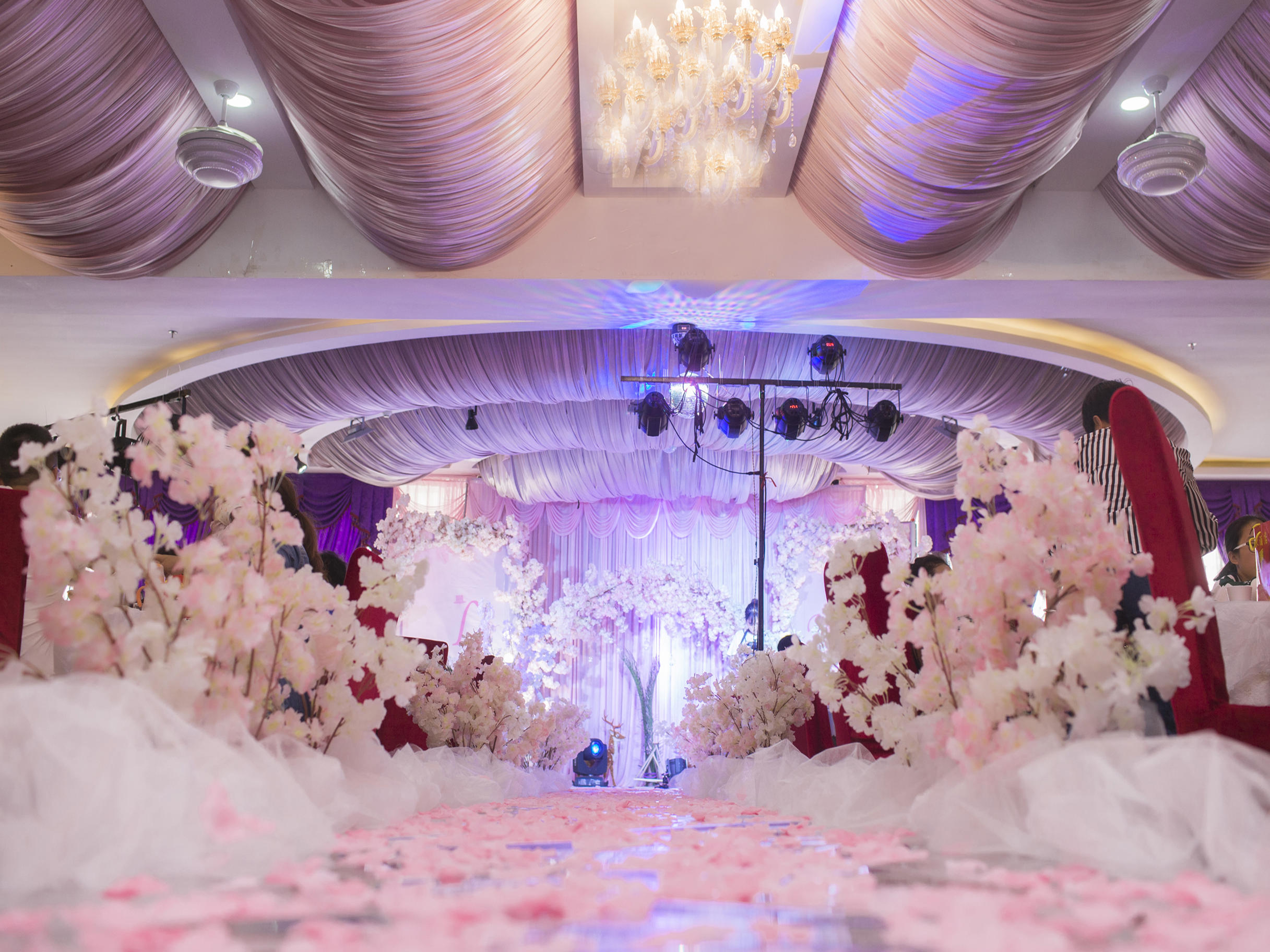 粉紫色烂漫樱花婚礼少女心