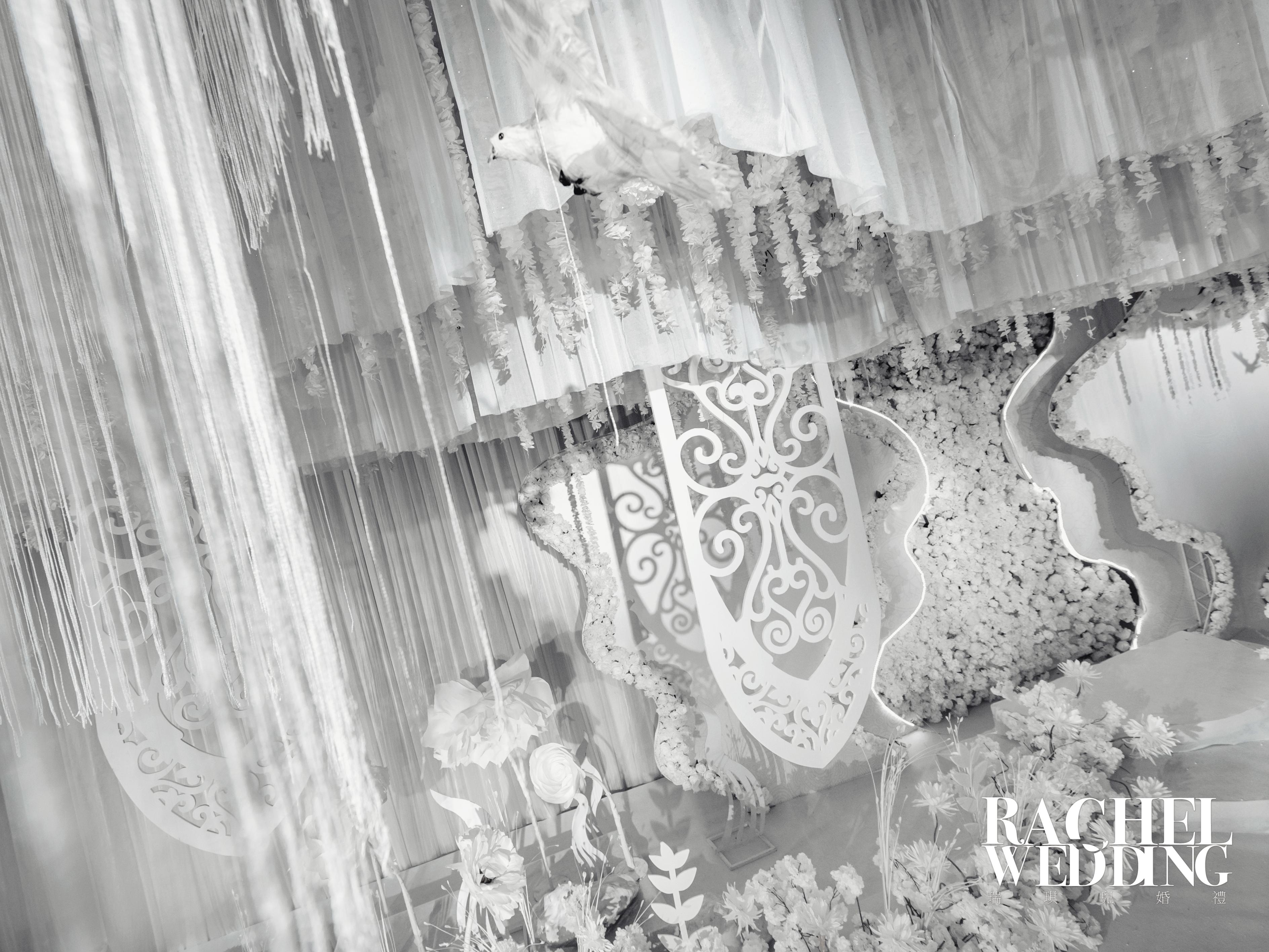 【Wings of time】时光之翼主题婚礼