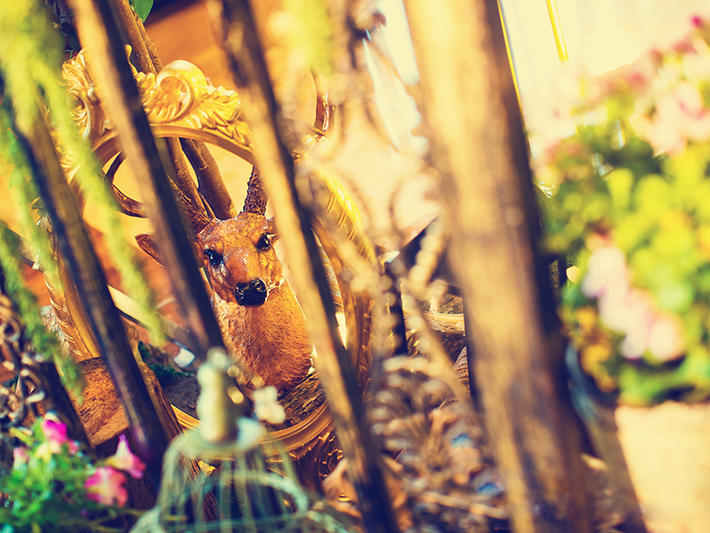 【好缘婚尚】私人订制打造森系氛围 静谧者