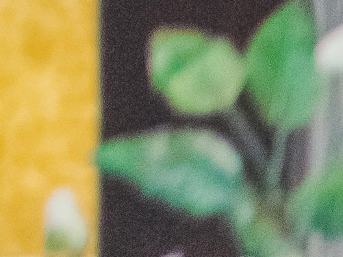 ATwedding︱白绿色婚礼 时尚简约