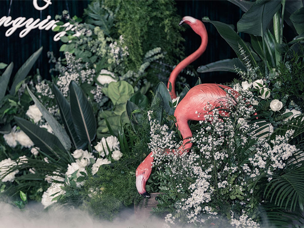 【梓塘·婚礼】火烈鸟式的爱情（送四大金刚）