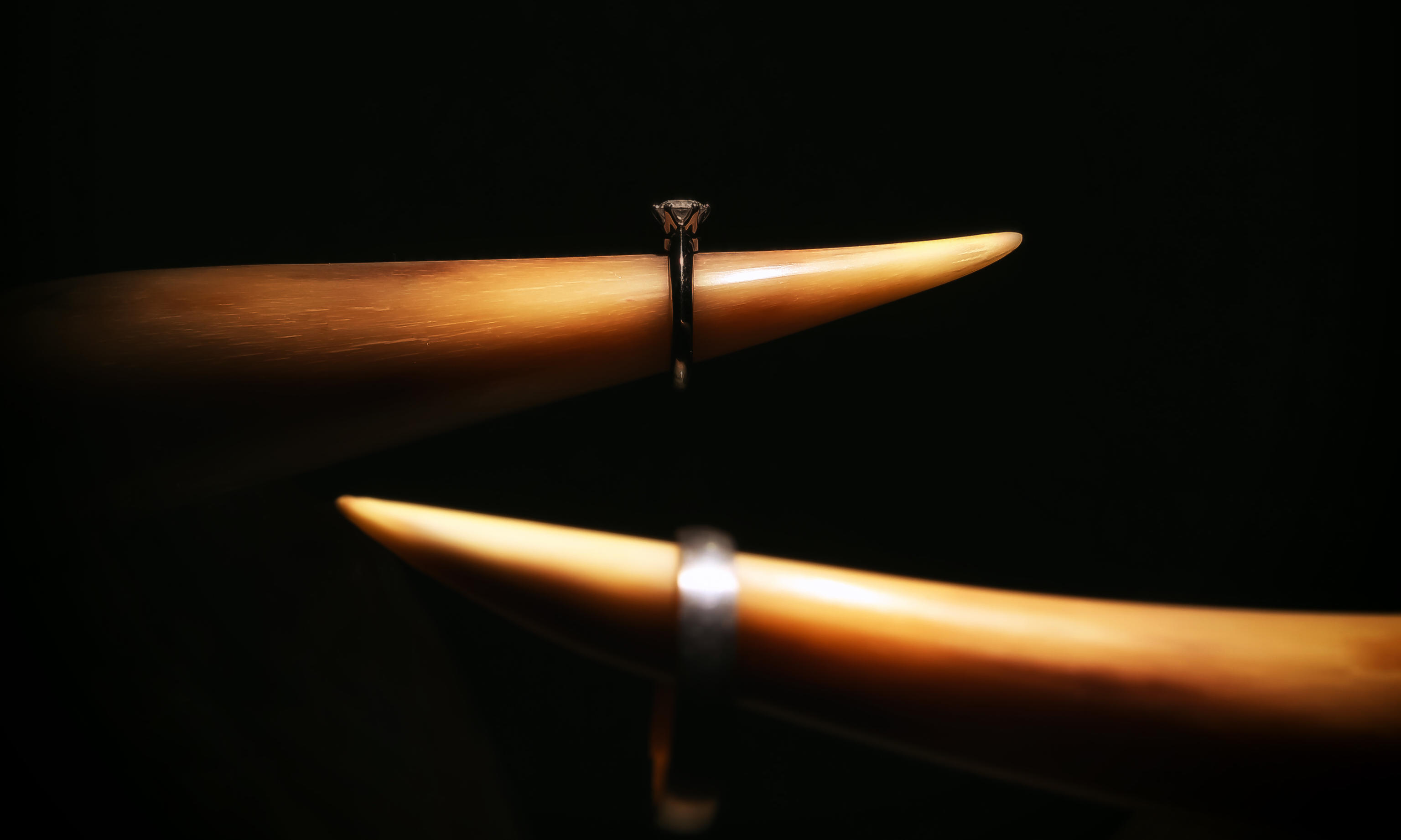 济南婚礼 娜氏婚礼-皇家花园《暖冬》