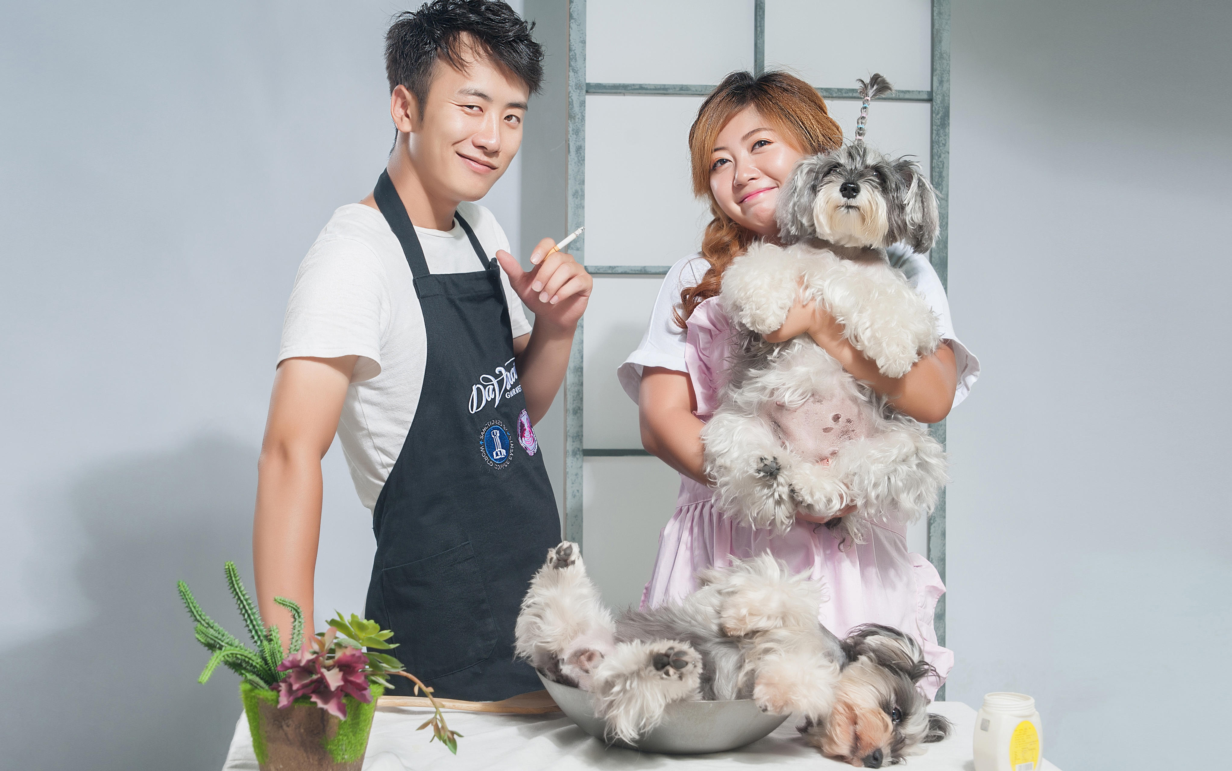 【西朵视觉摄影】--创意宠物写真