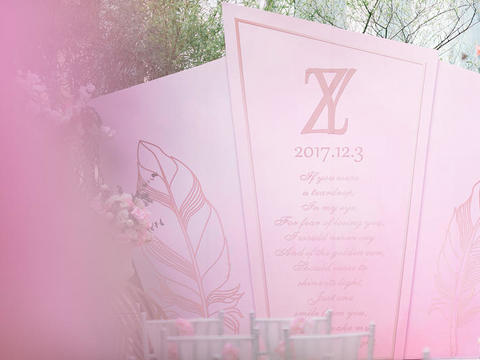 煋河荟--【幸福时光】粉白色  含婚礼四大金刚