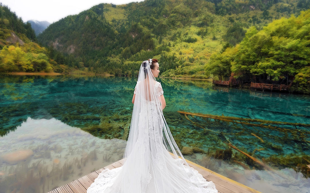 工笔画 新中式  古典简约