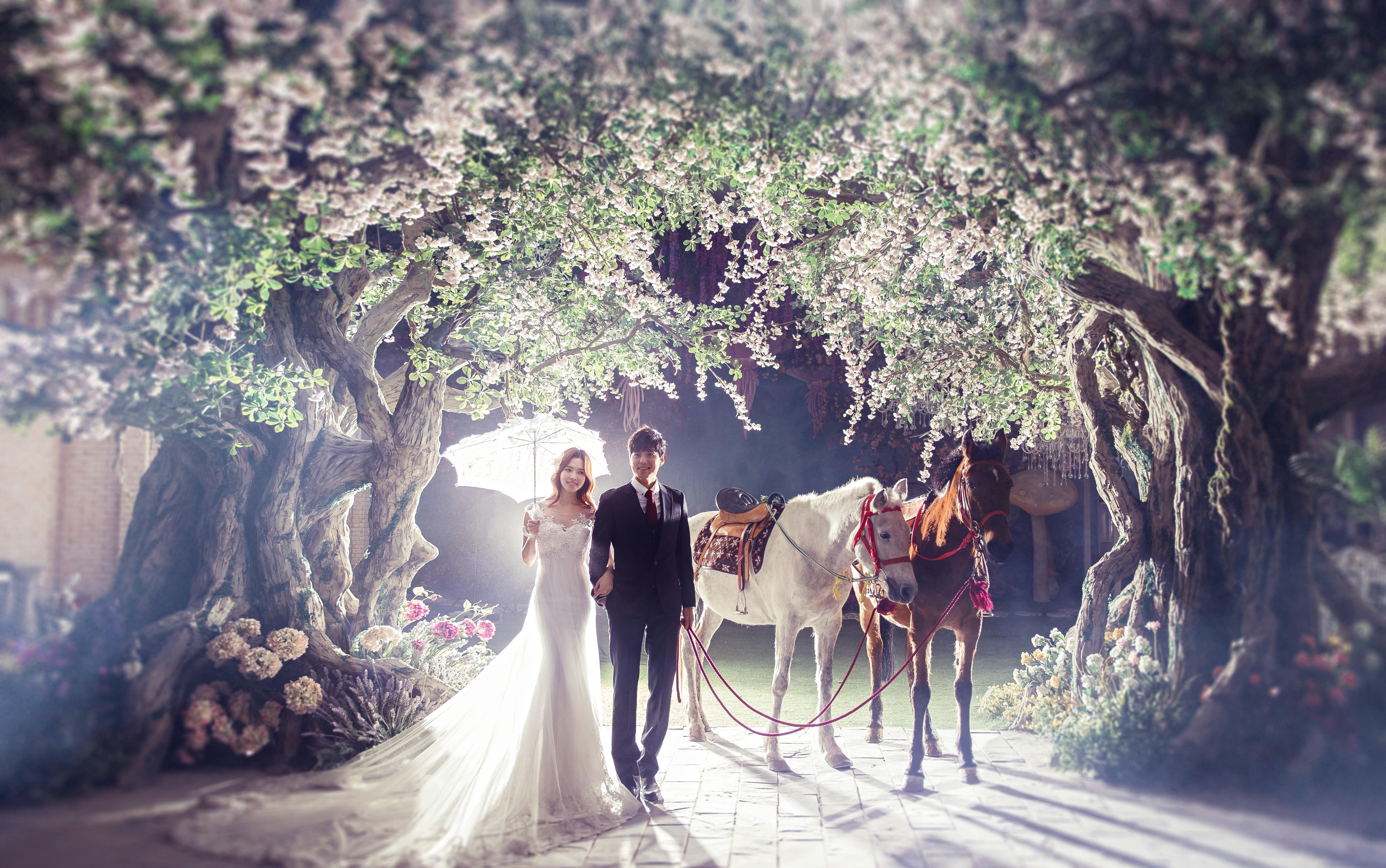 巴黎情緣婚紗攝影--超低價套餐