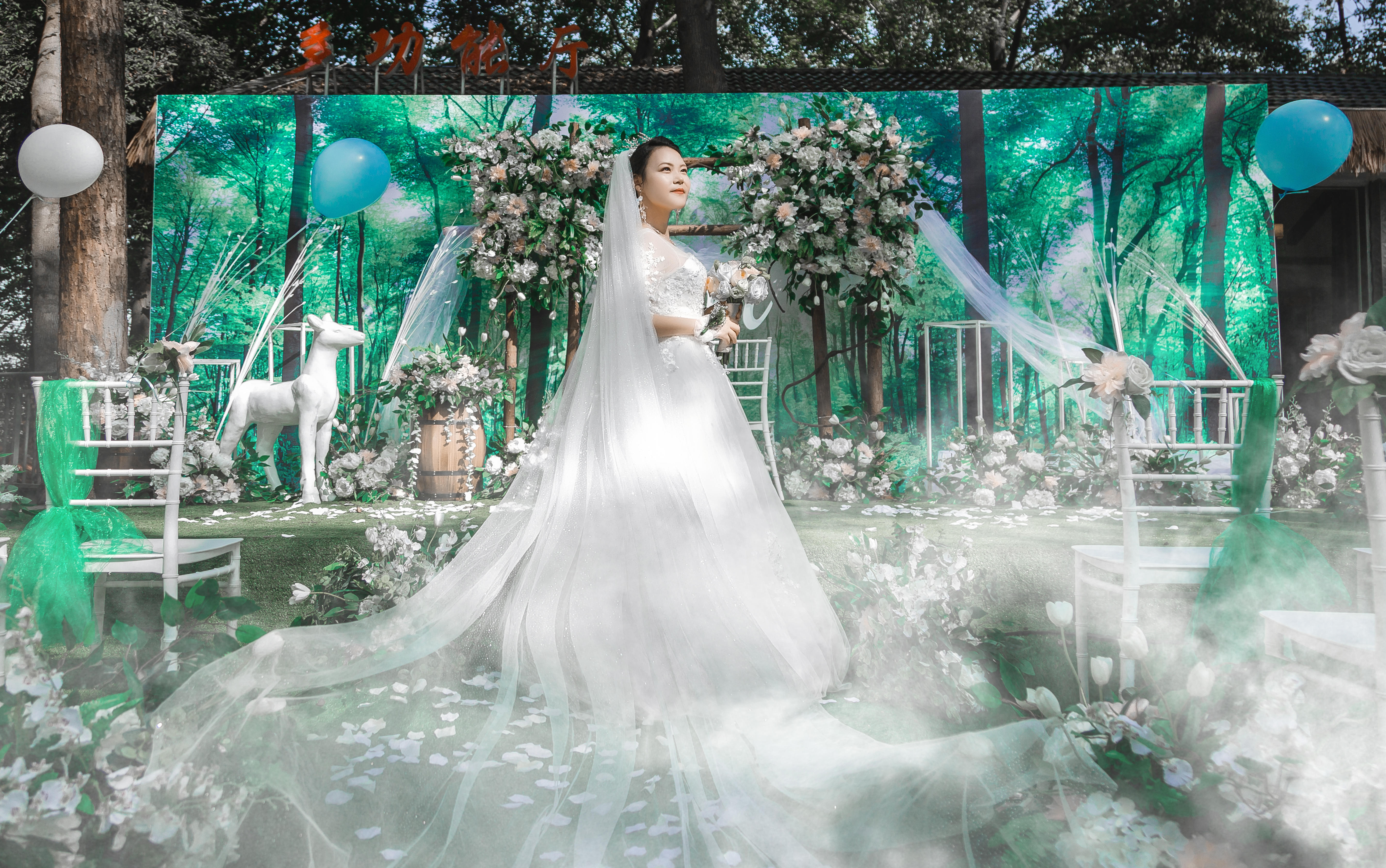 暮光森林----善卷森林公园婚礼。