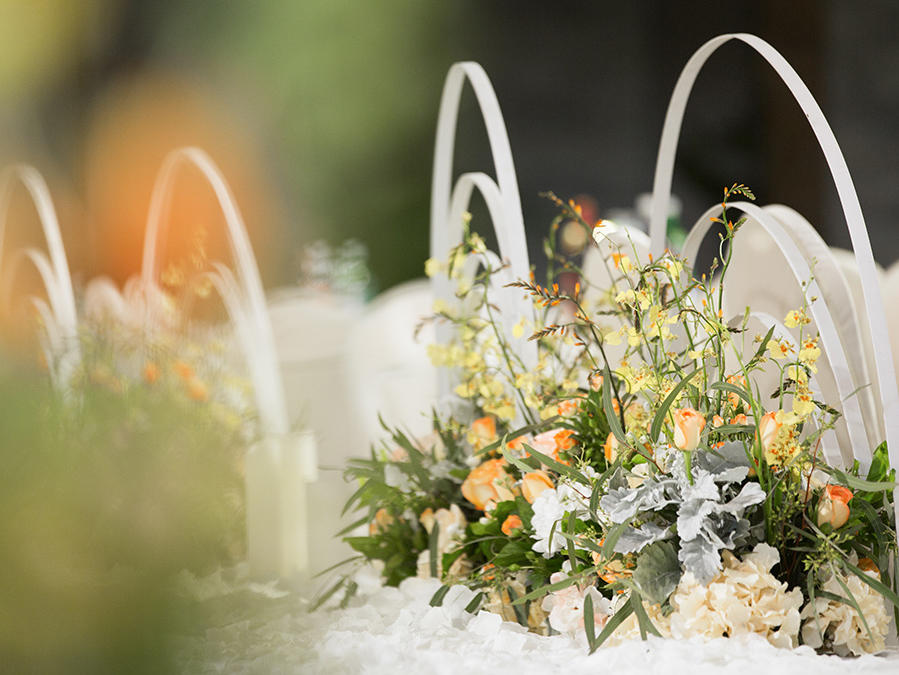 和韵 · 初心  白色、橘色 清新室内婚礼