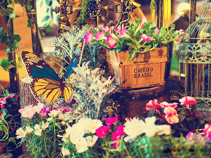 【好缘婚尚】私人订制打造森系氛围 静谧者