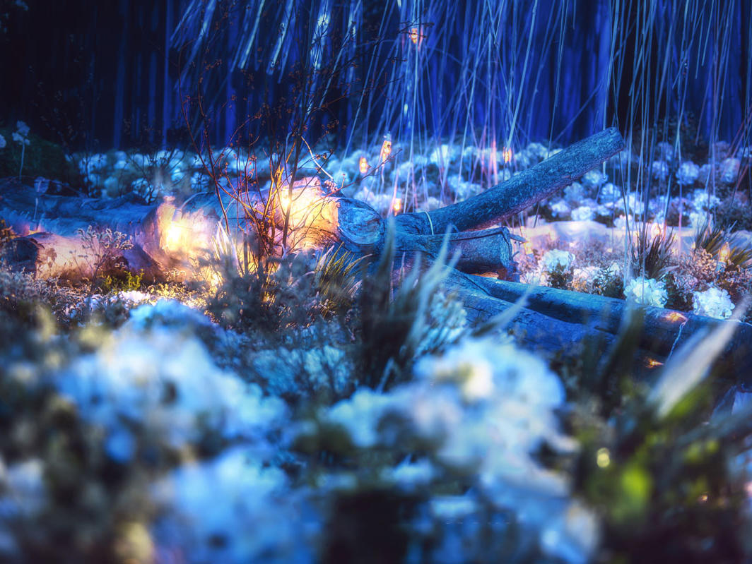 【MOMA魔马·舞台剧婚礼】自然之光 新概念婚礼