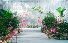 【婚礼世家】热带雨林主题婚礼，火烈鸟见证的爱情