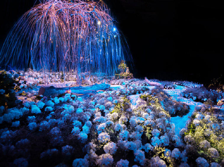 【MOMA魔马·舞台剧婚礼】自然之光 新概念婚礼