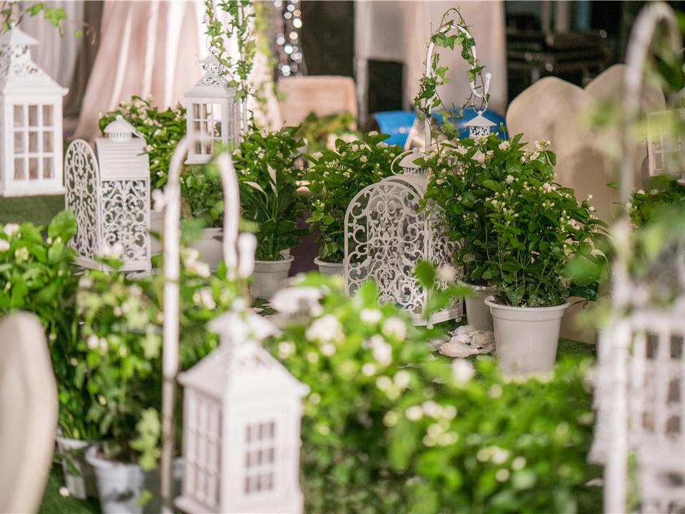 『蒂琳婚礼企划』白绿森系森林系 赠送新娘秘书