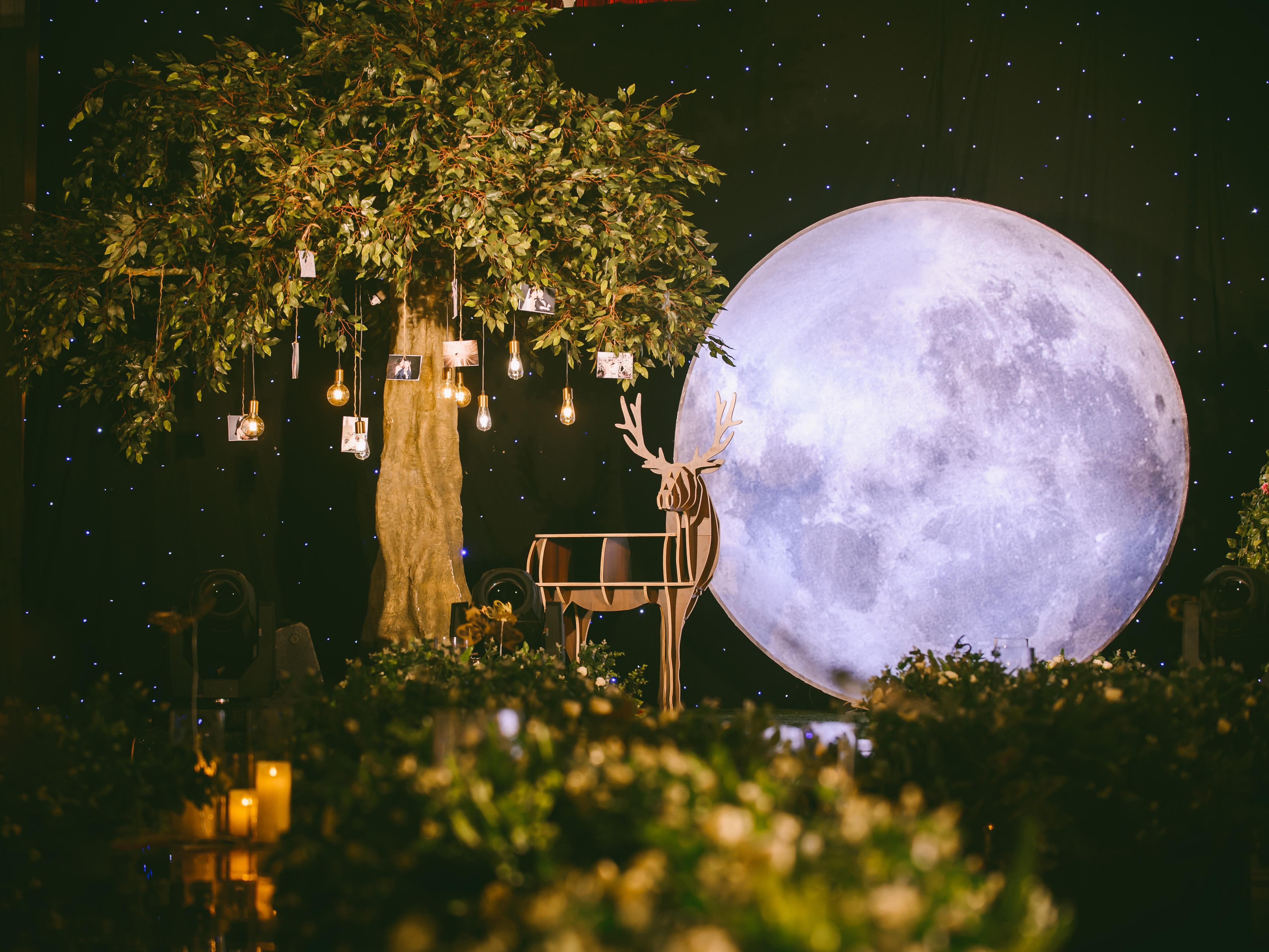 森林花园【小镇风雅 · 榕林以楠】