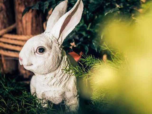 【U＆Me】森系花园婚礼