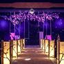 【幸福季婚礼】- 紫色扬花