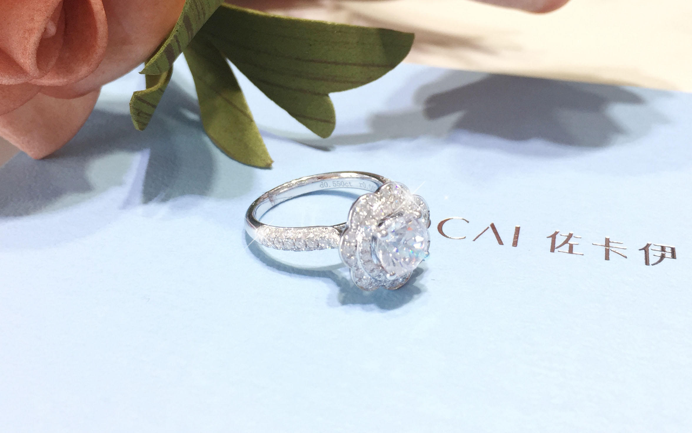 《夏至未至》剧中颜值夫妇结婚同款   浪漫樱花