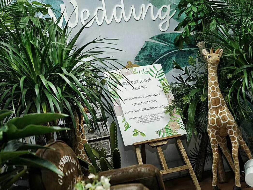 【绿野迷踪】低预算流行森系性价比超高