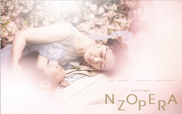 【凤凰印象】十服十造+场景不限+底片全送