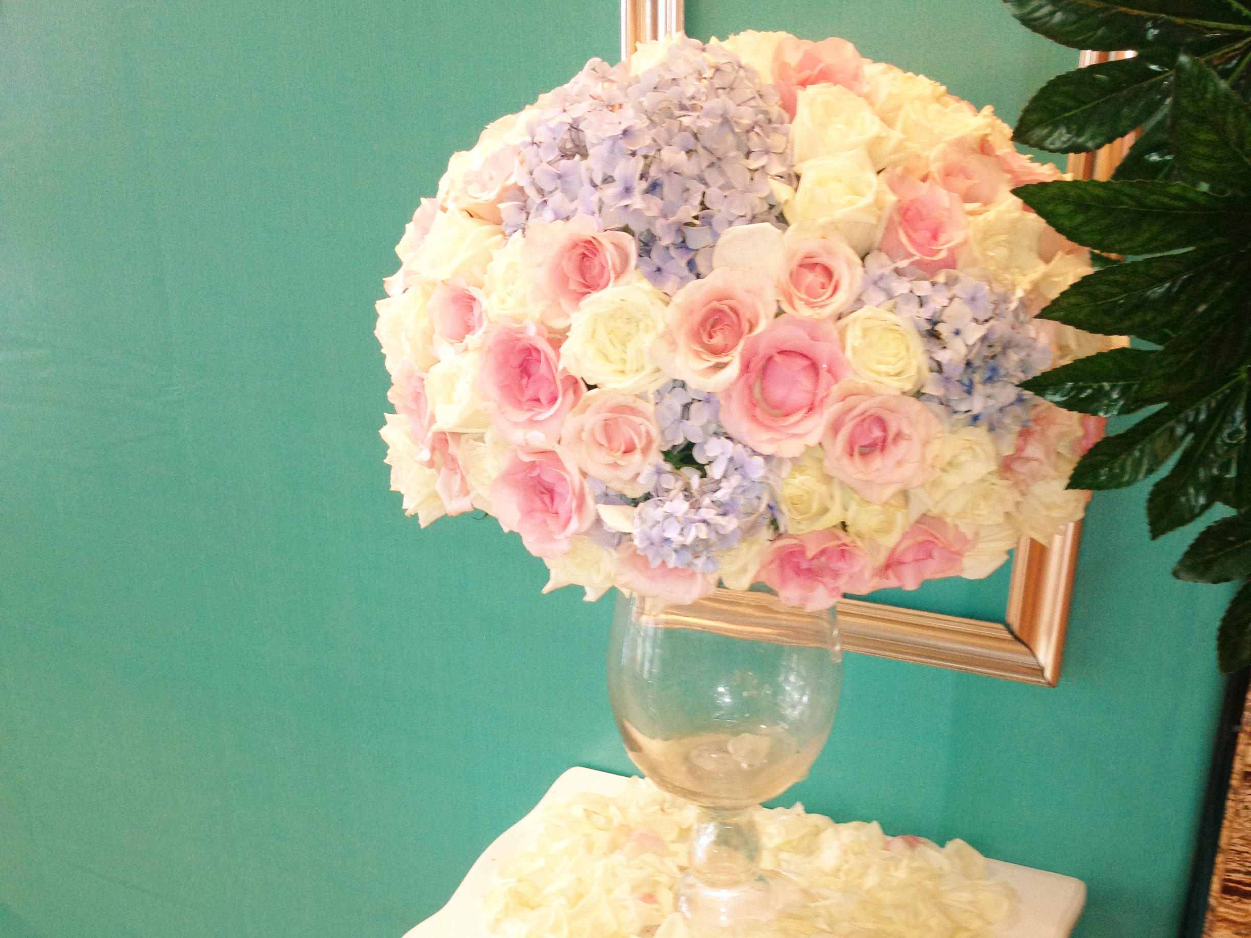 特惠套餐等你来抢！