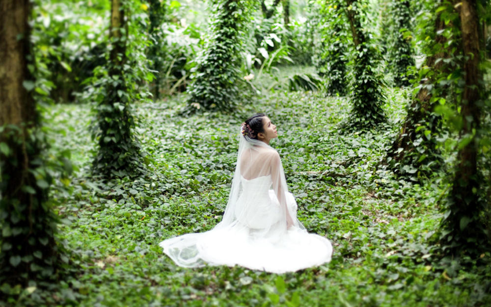 2019流行婚摄  韩式、小清新、校园、胶片