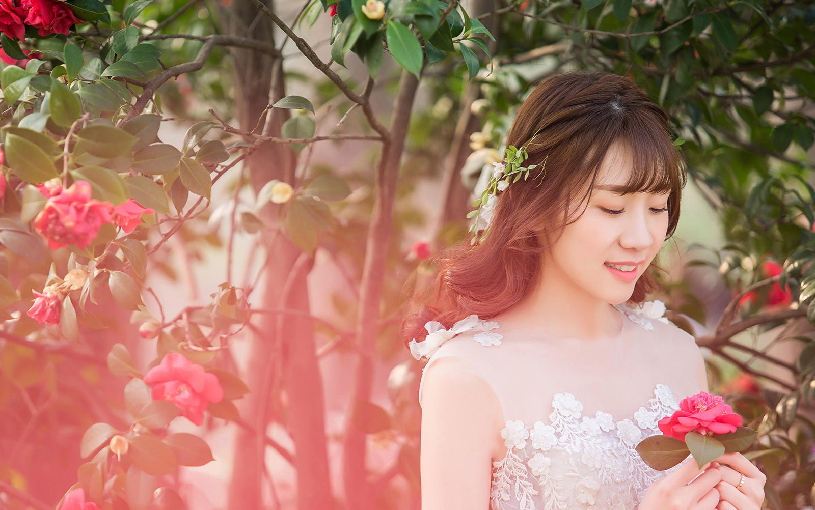 【人气爆款】花海主题+豪华出海游艇