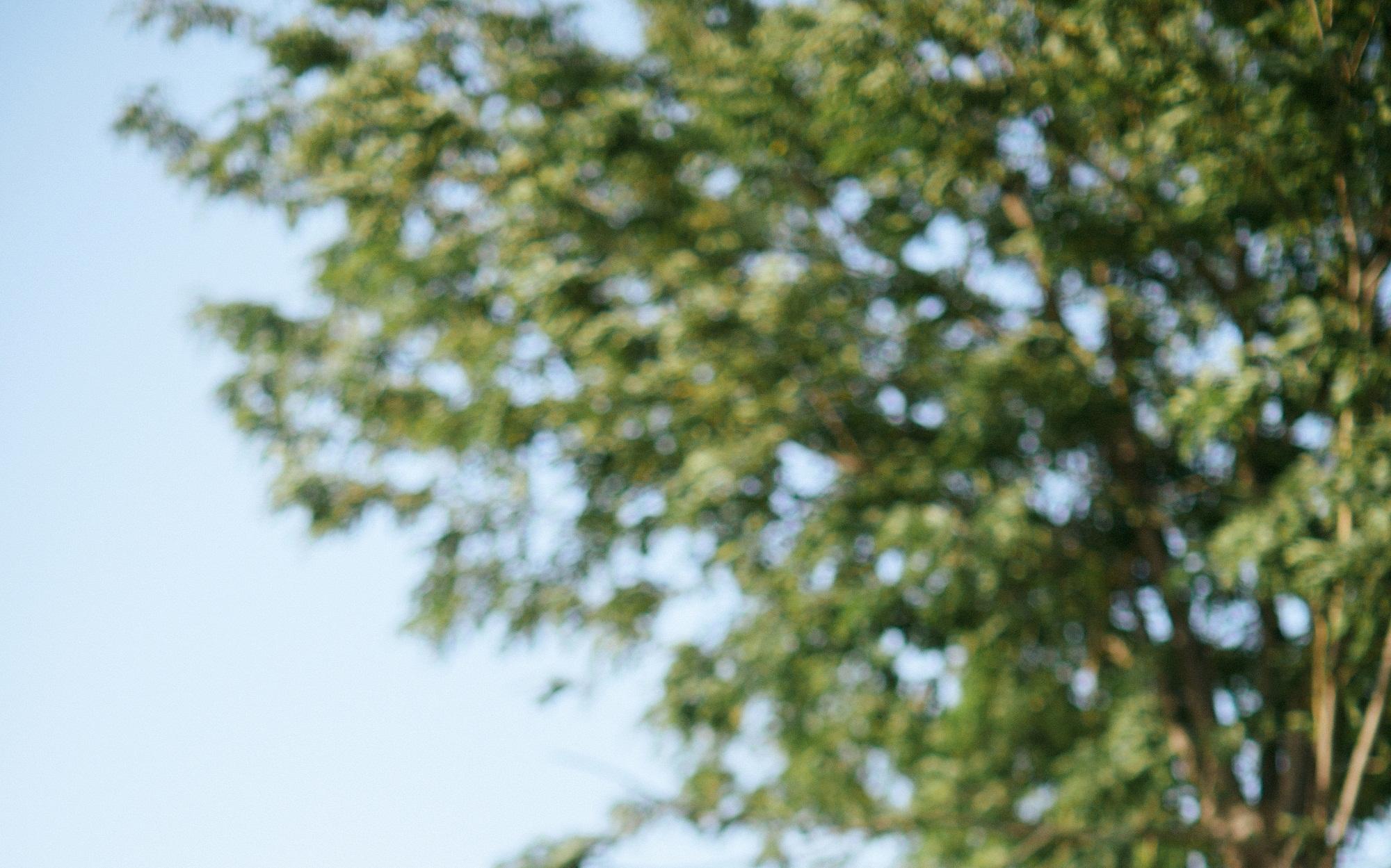 【私人定制艺术写真】潮流定制+底片全送