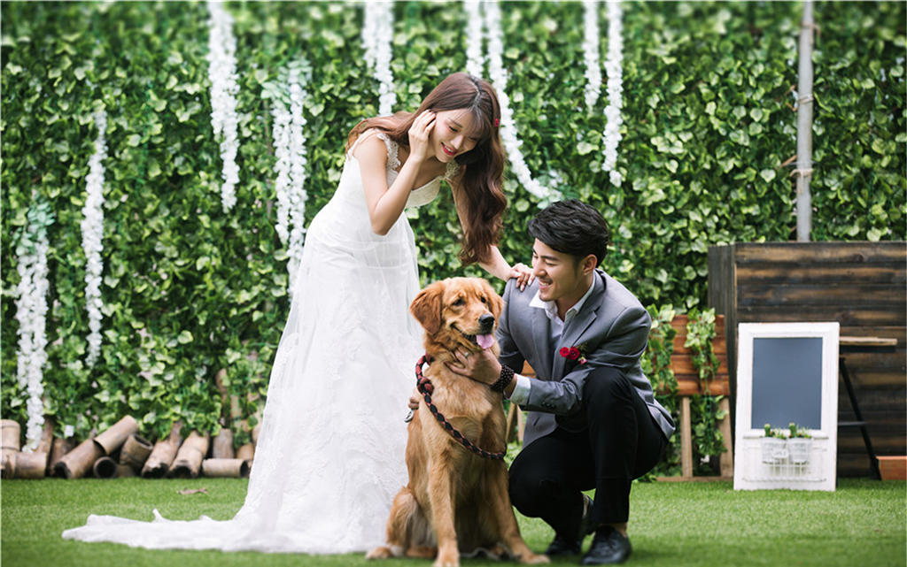 菲墨尔四月『花开半夏』2688厦门小清新旅拍