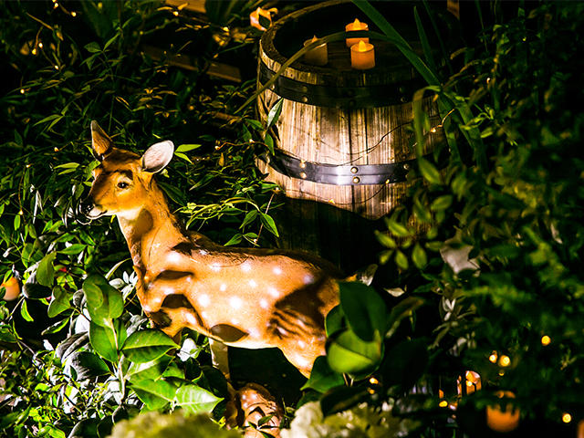 2017绿野仙踪【MC婚礼定制】