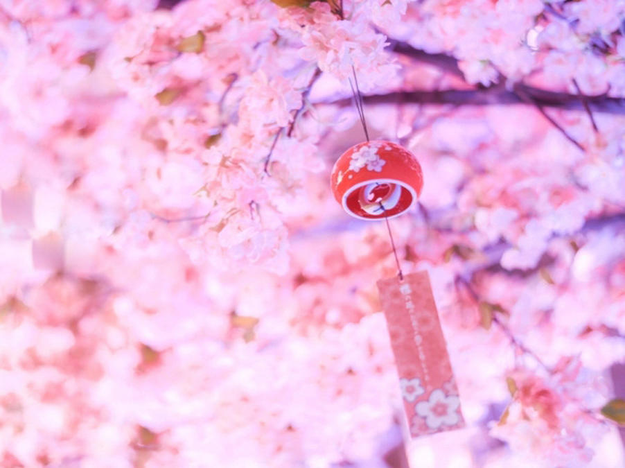 【超级玛丽】I LOVE YOU 主题定制婚礼