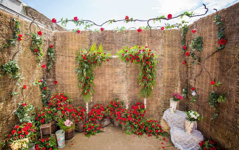 {星罗云海}农村院子不一样的户外婚礼