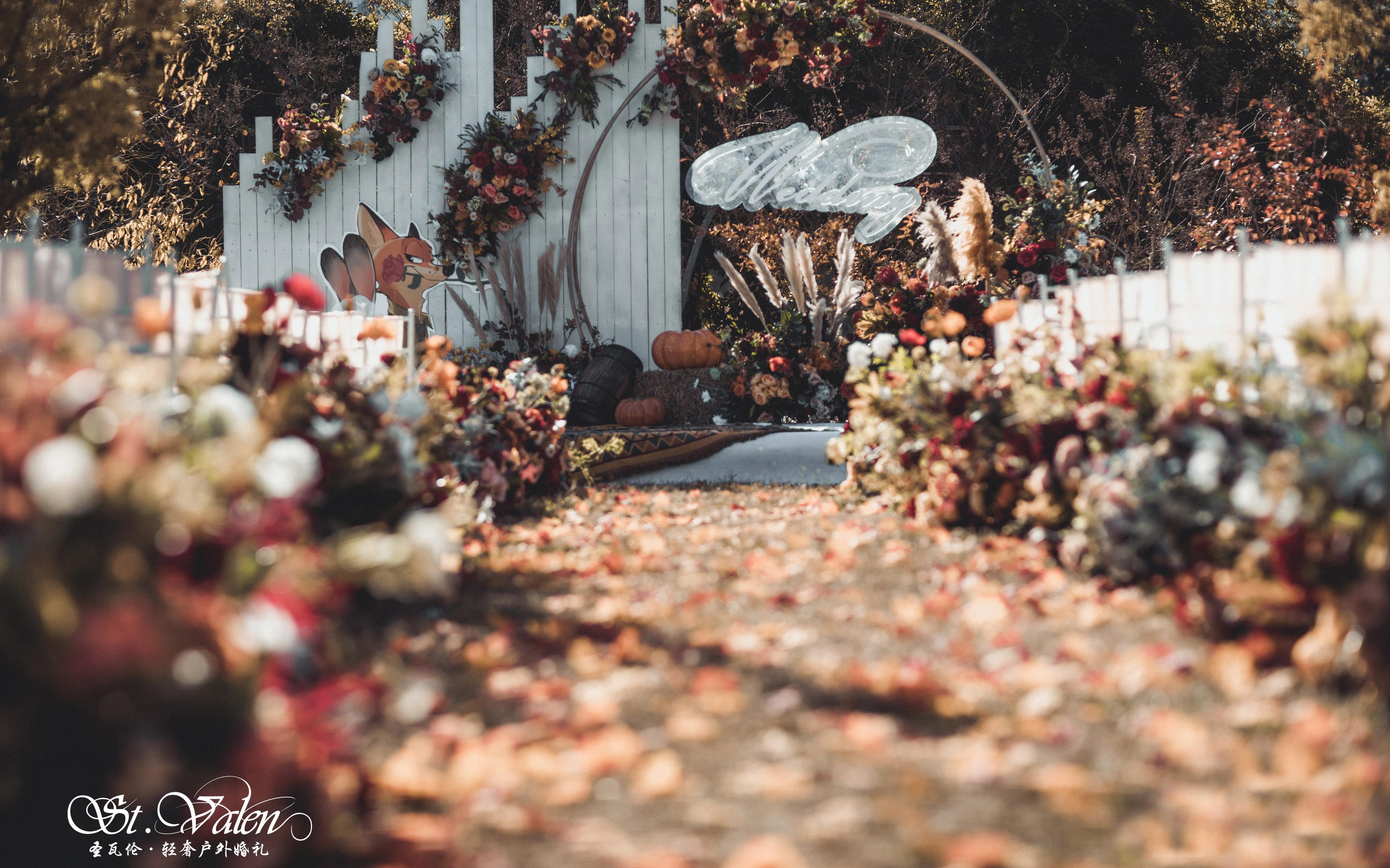 Try Everything—勇敢爱