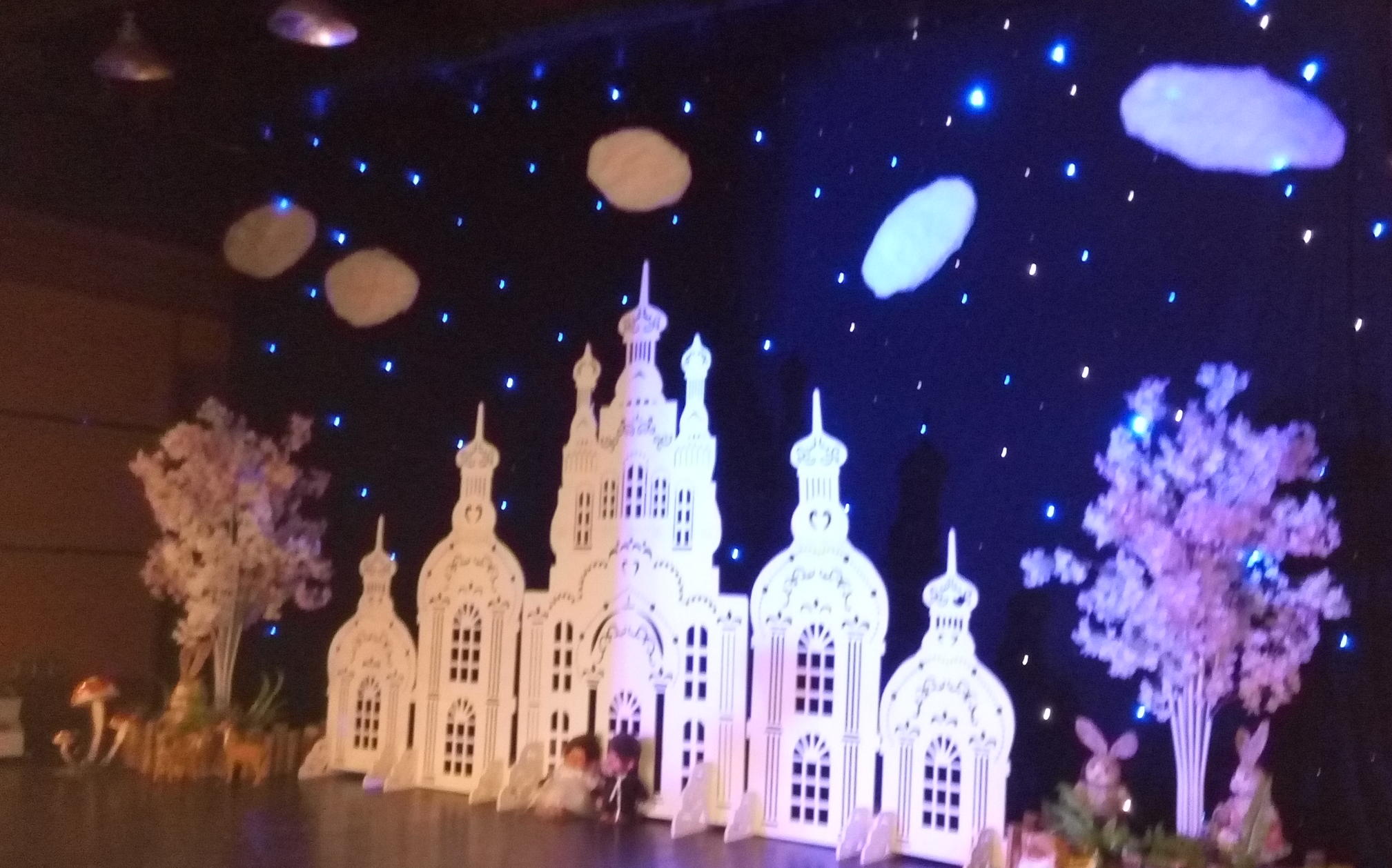 4999套餐： 镜面T台+星空幕布+城堡 