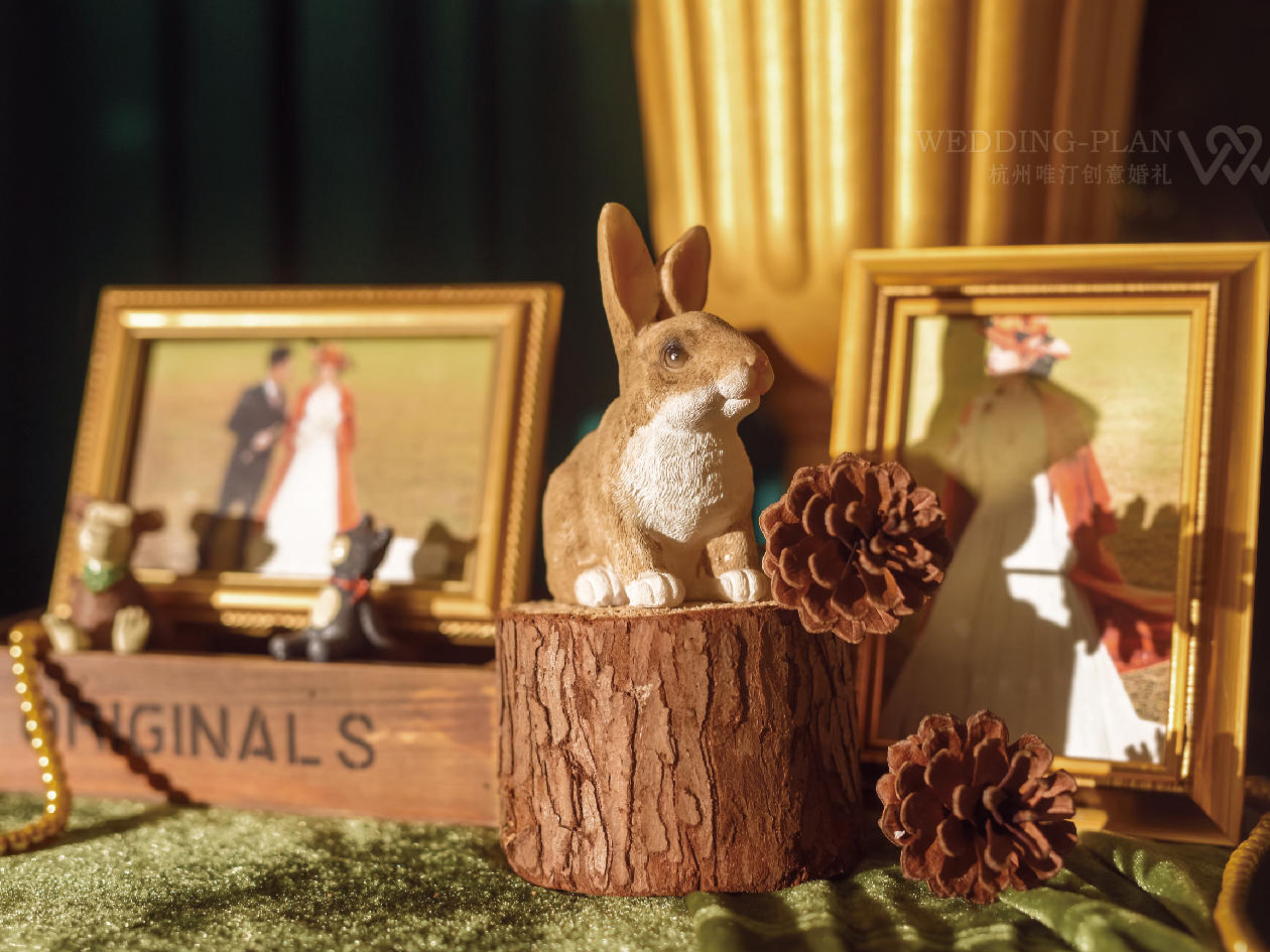 唯汀婚礼 || 秘境 绿色森系婚礼