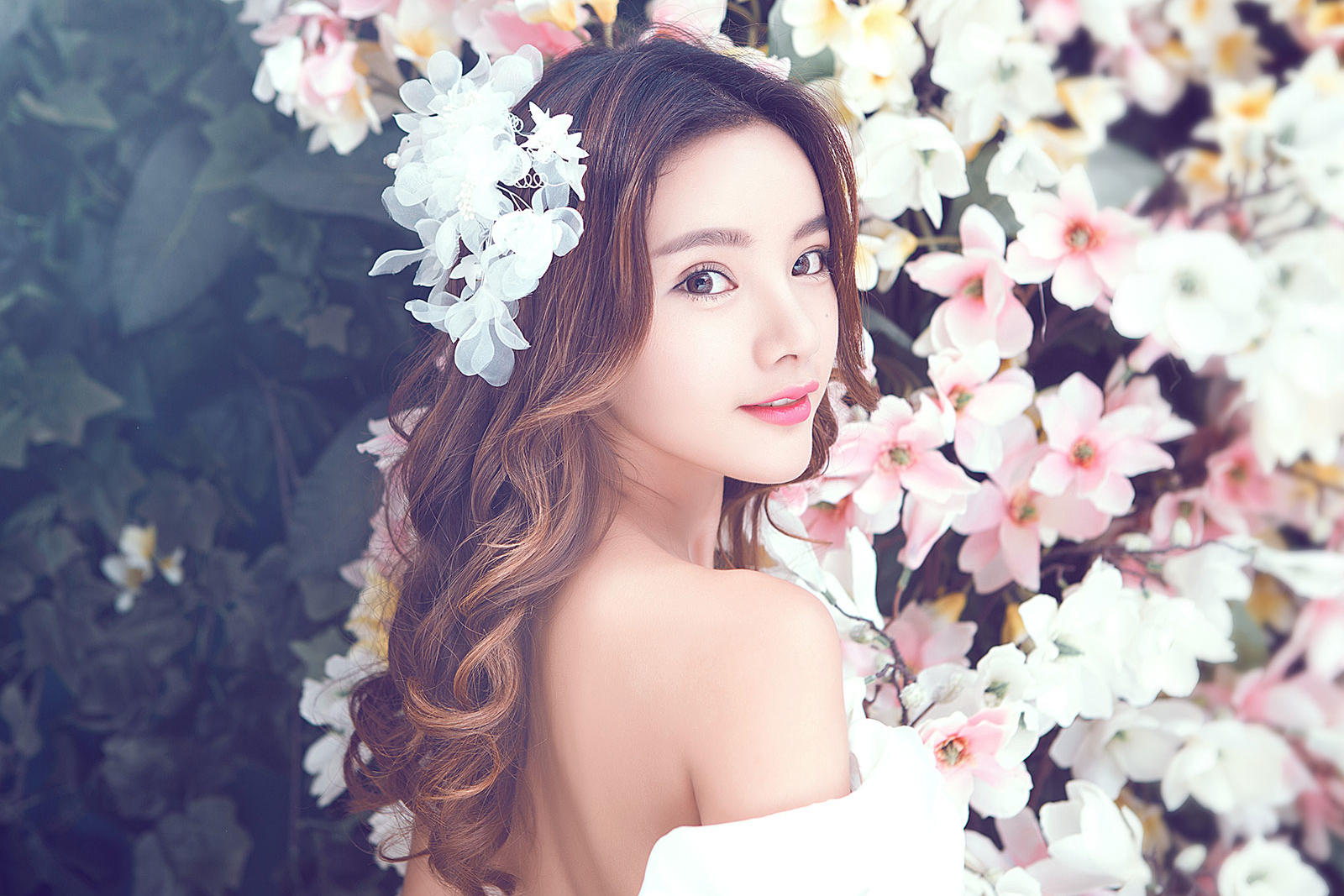 【台北18号】熏衣草-3服3造