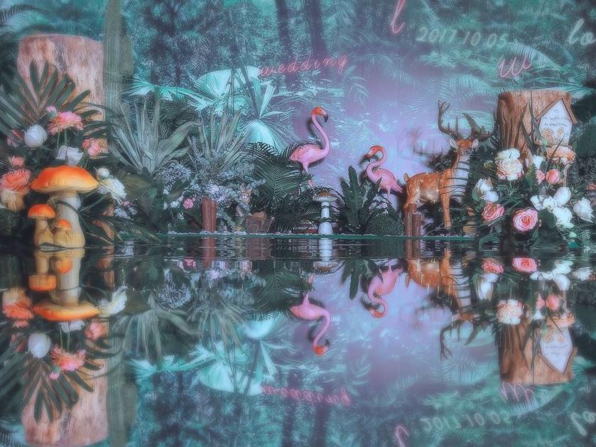【索菲亚婚庆】奇幻森林 梦幻系列