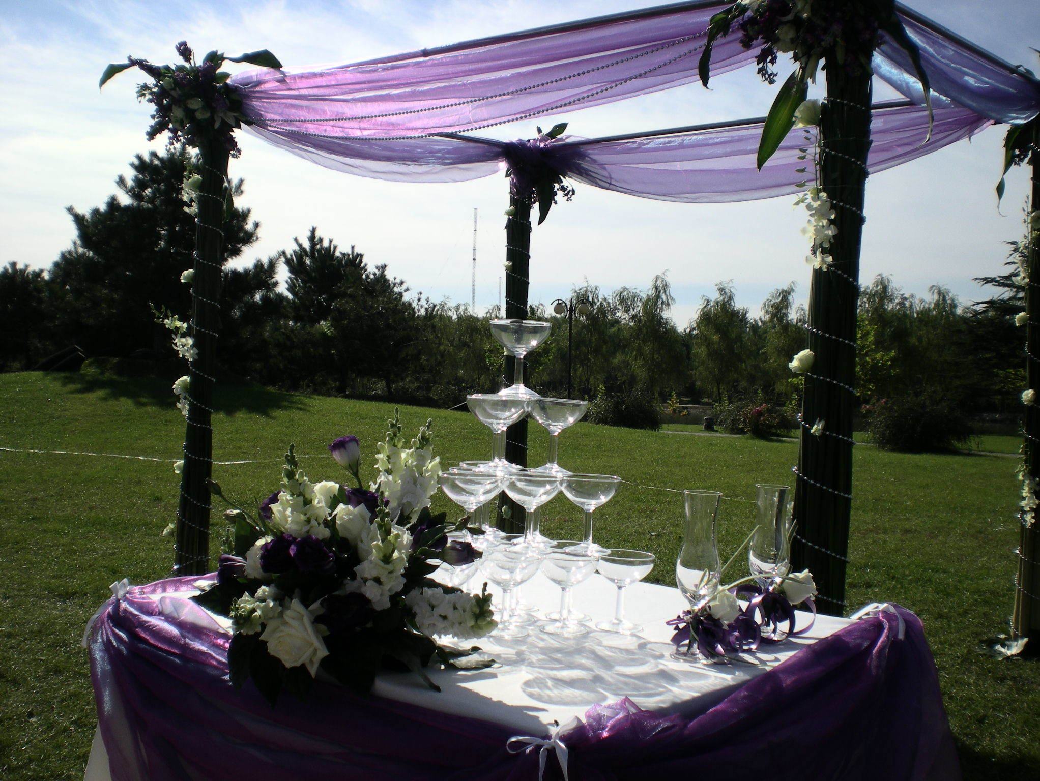 【特陌洛】紫色草坪婚礼/裸婚套餐系列