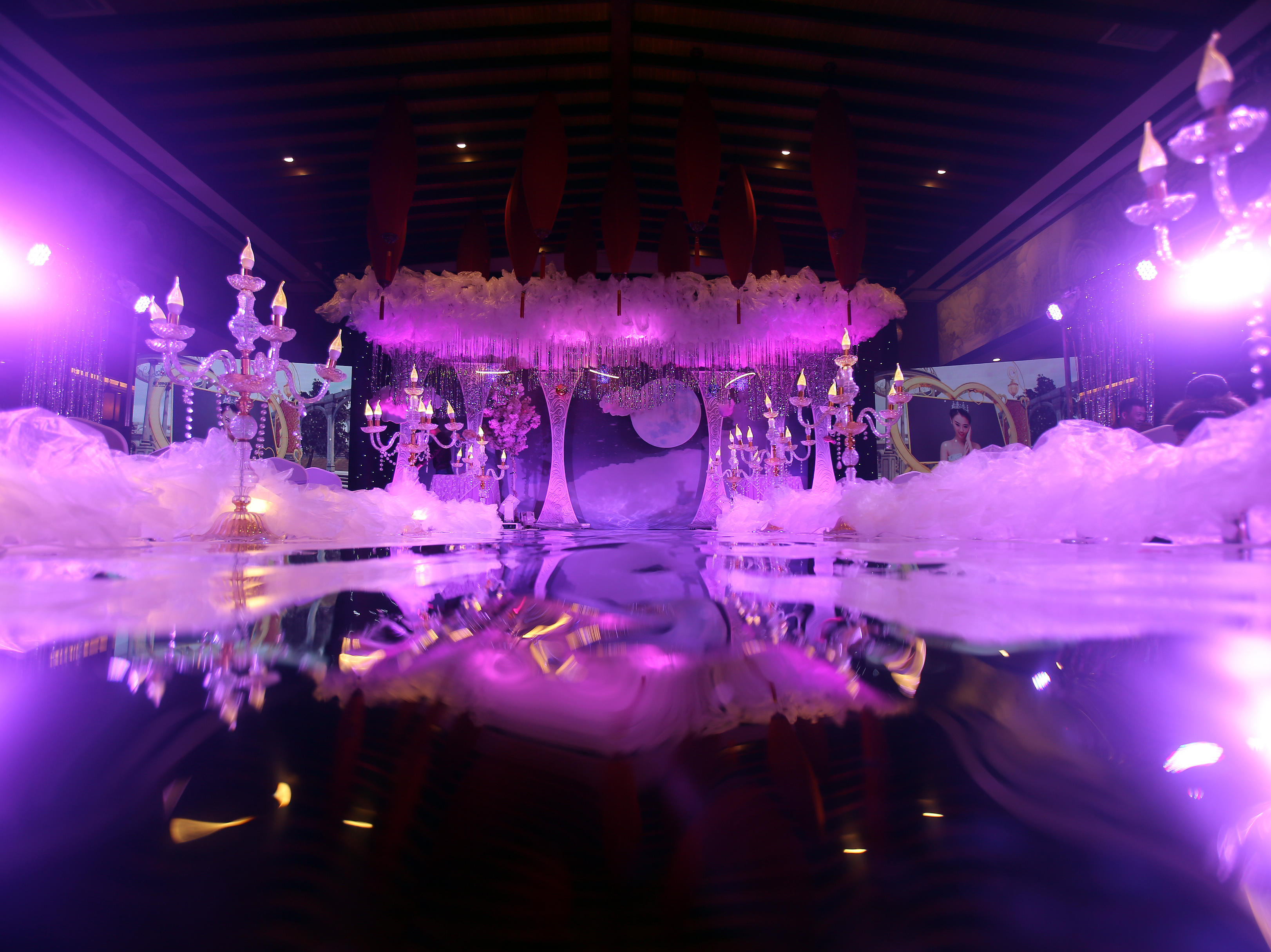 纯白之月——云与树交织成永恒，云雾星辰为你祈愿