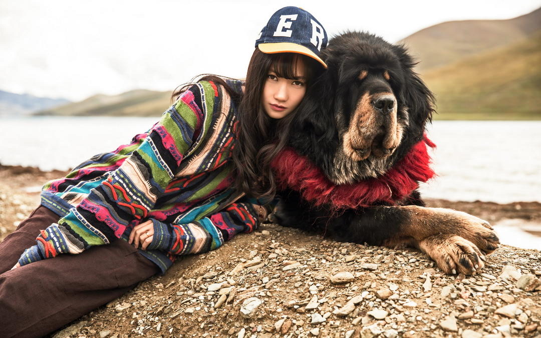 婚纱旅拍客片欣赏——遇见藏獒