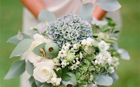 炎炎夏日的一抹白绿小清新