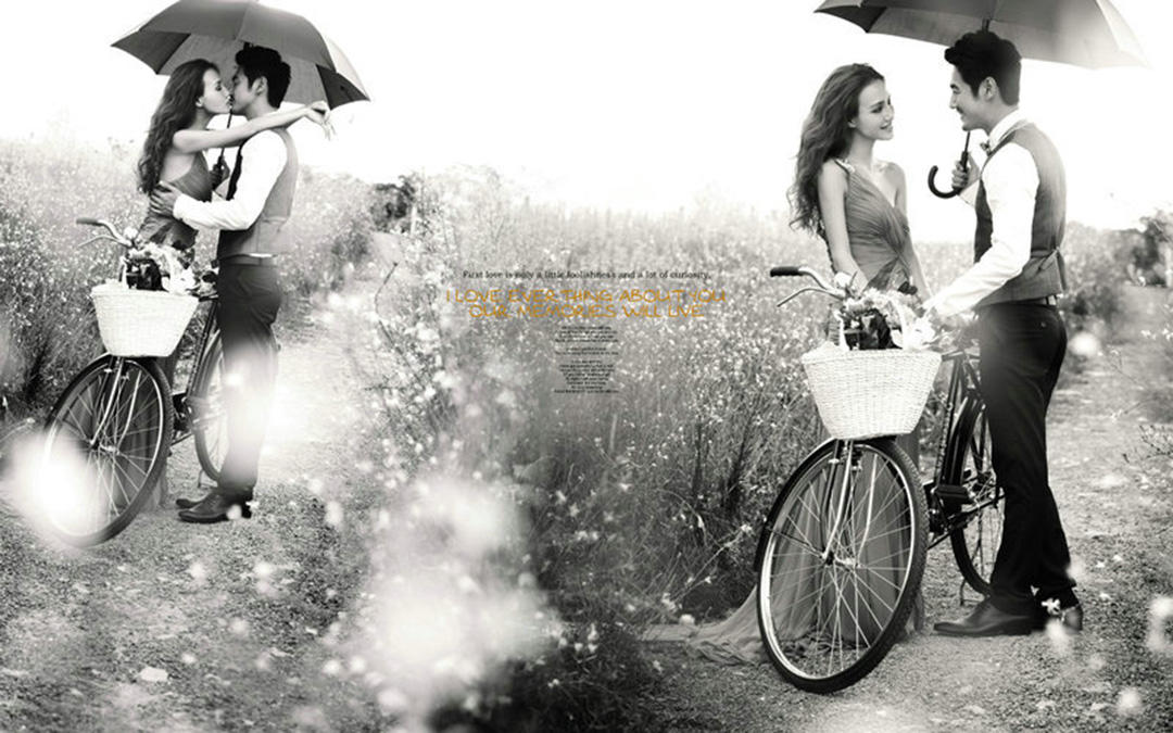 【台北18号】熏衣草-3服3造