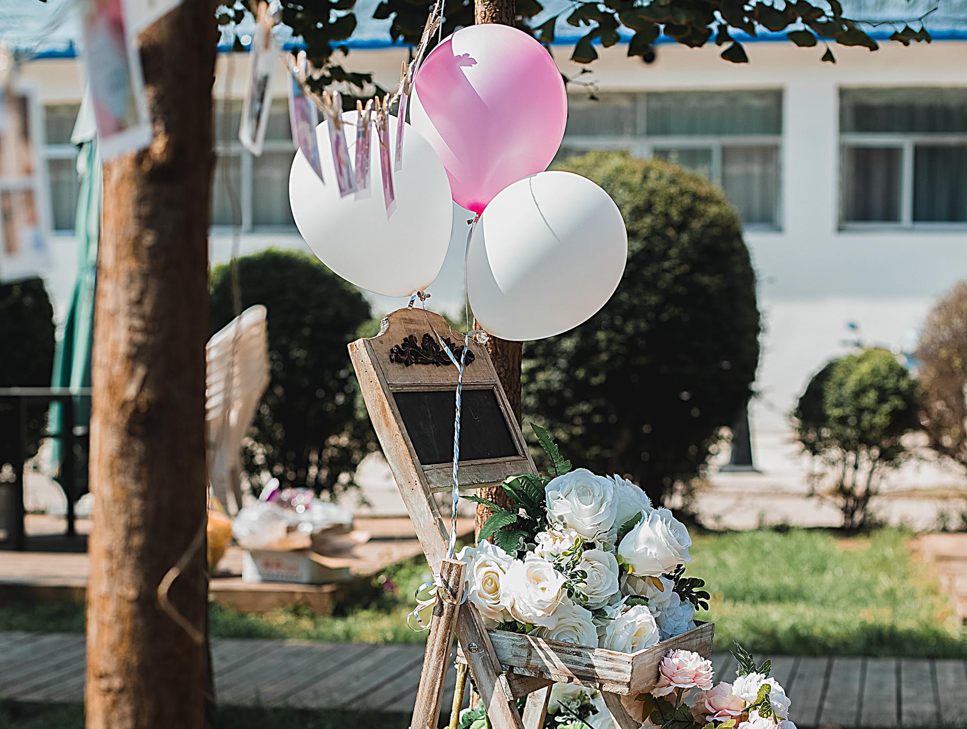 户外白绿小清新 /中天亚美