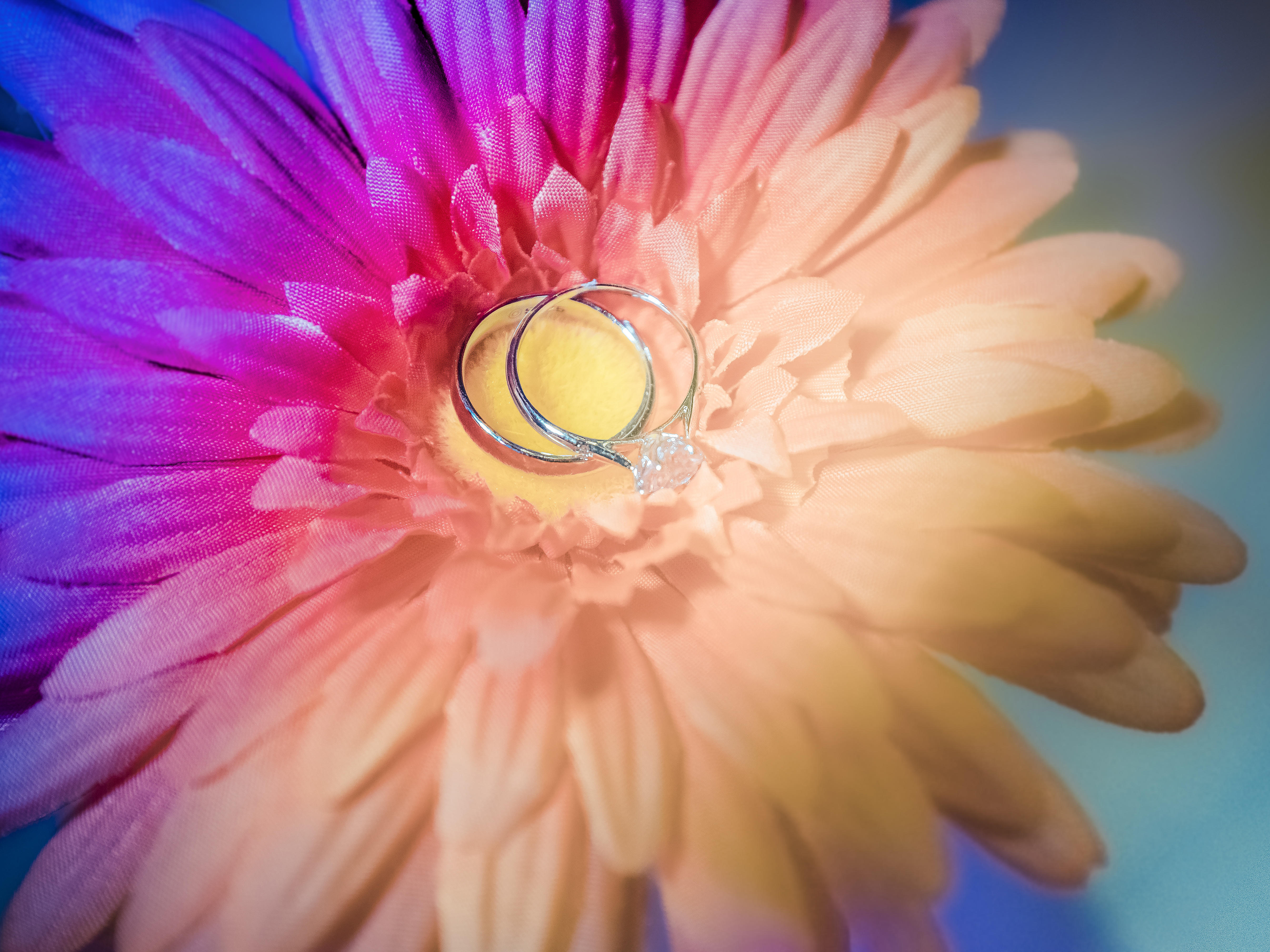 冬华婚礼跟拍（拍照）单机位