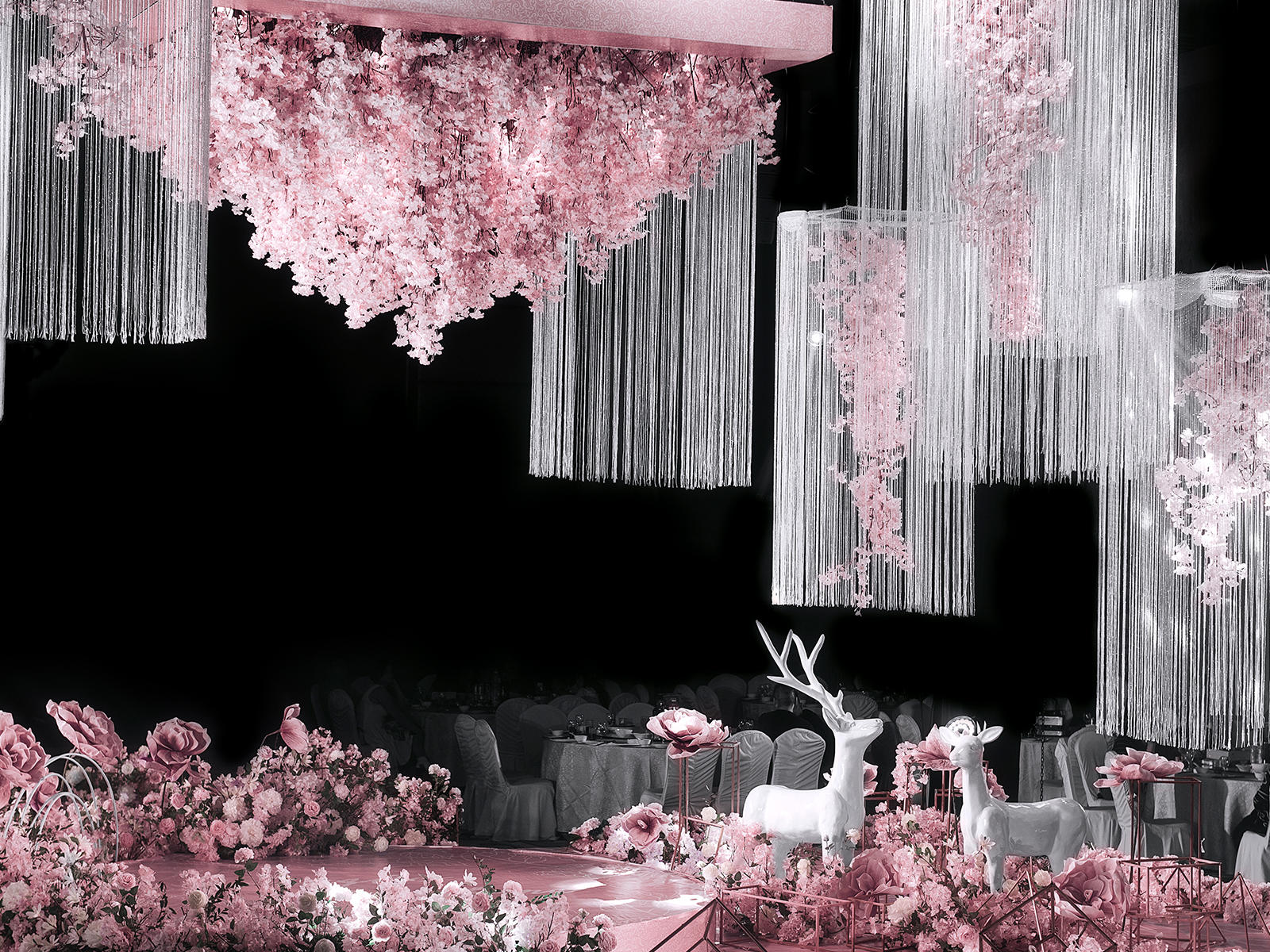 【童话盛宴】 Bloom