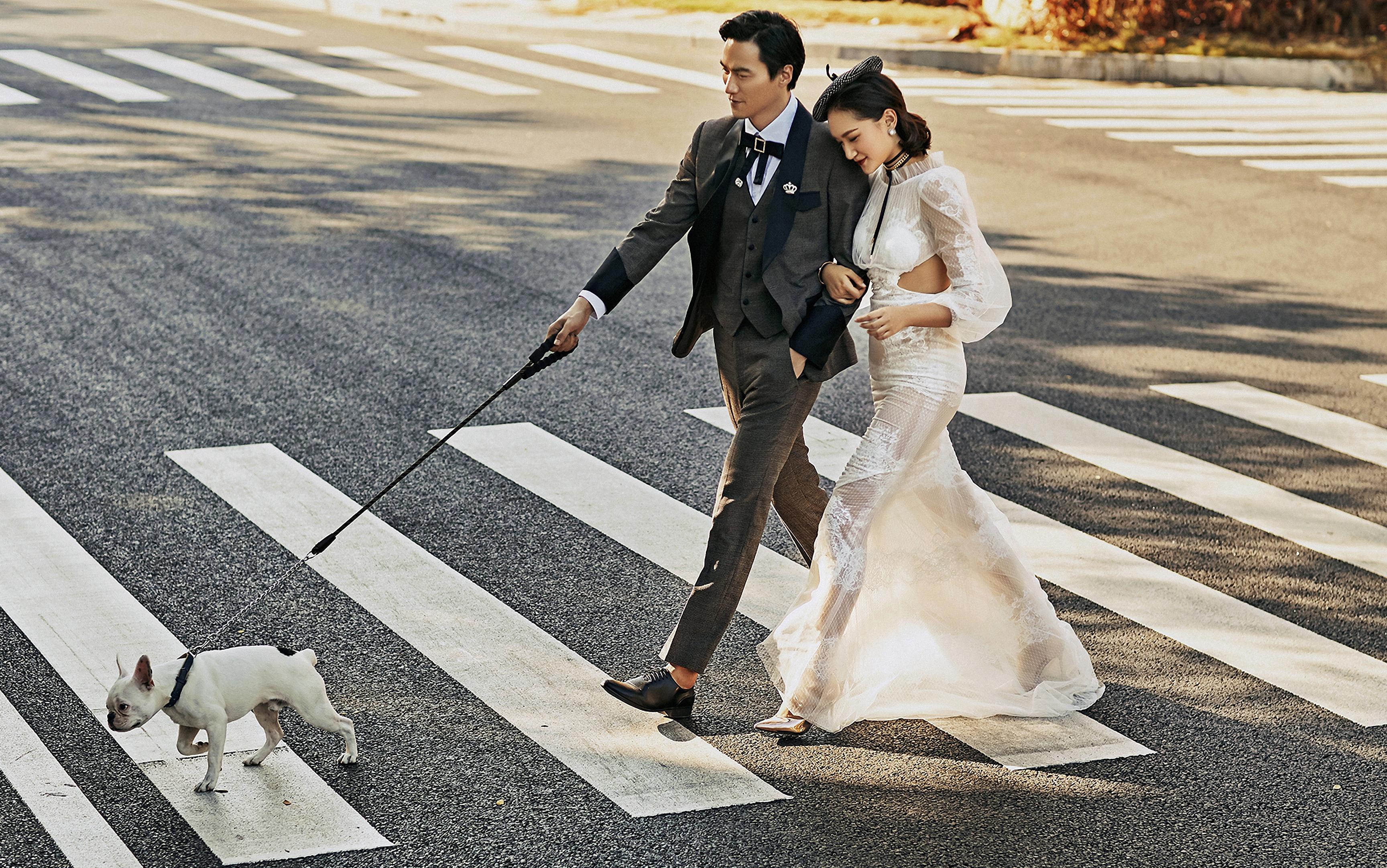 【西朵视觉摄影】--创意宠物写真