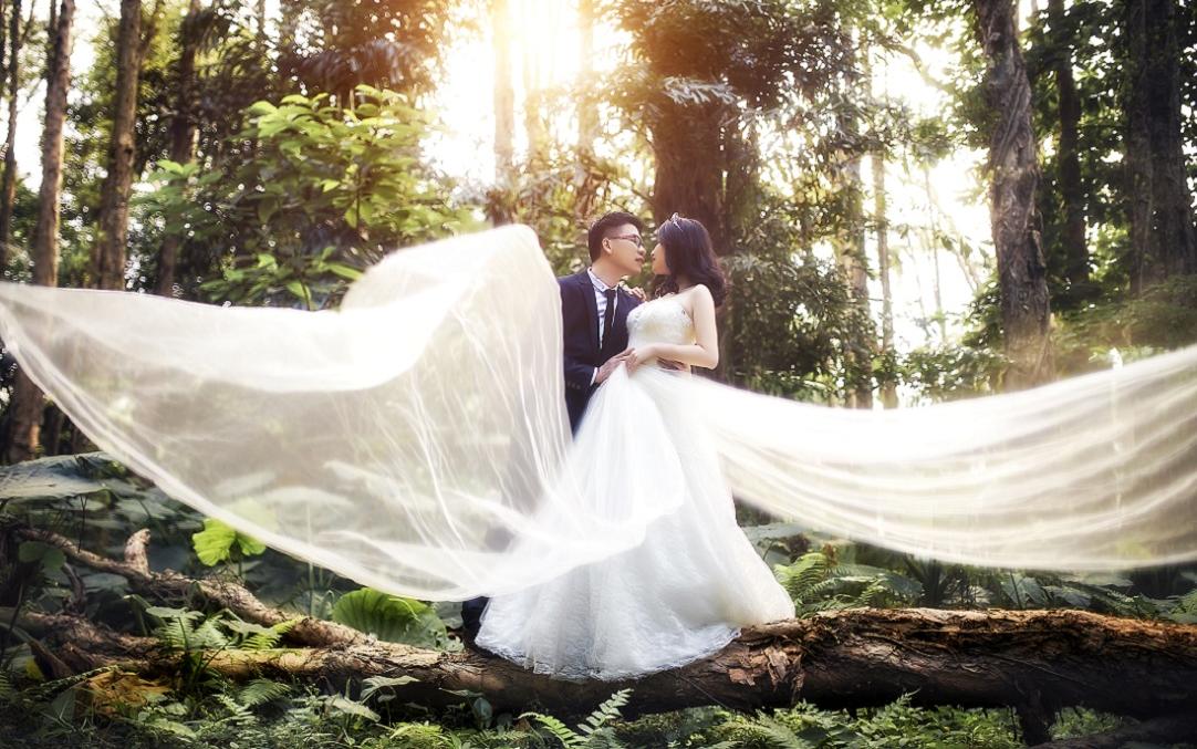 佛山广州婚纱照/华南植物园/底片全送/三服三造